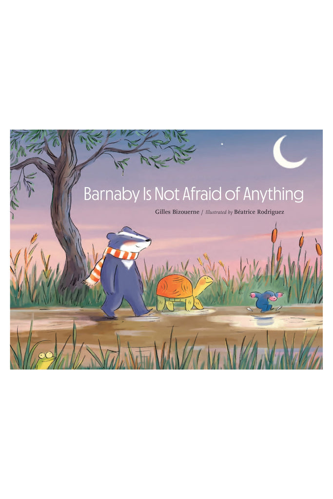 Barnaby Is Not Afraid of Anything by Tinies Books