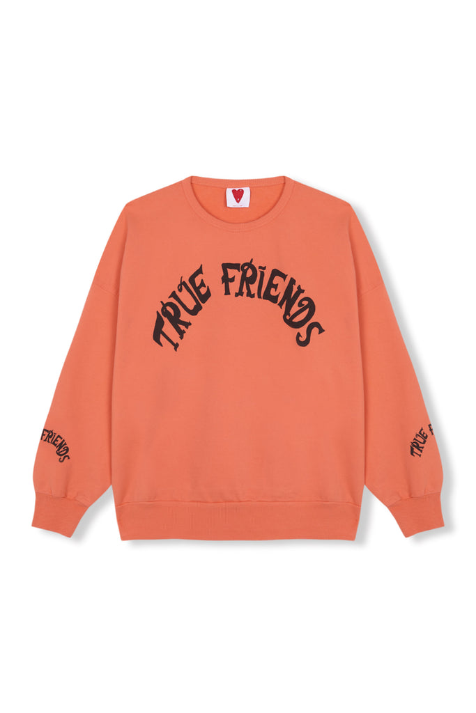 True Friends Sweatshirt by Fresh Dinosaurs