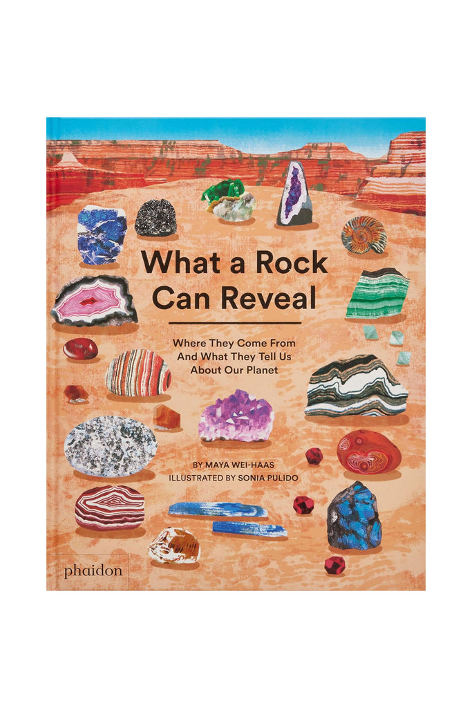 What a Rock Can Reveal by Tinies Books