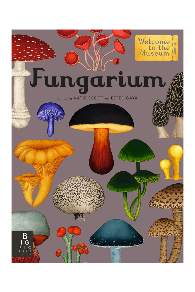 FUNGARIUM BOOK by Tinies Books