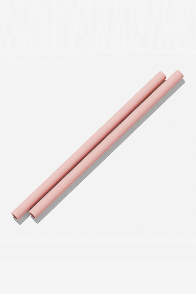 Silicone Straws 2 Pack (Rose) by Bink