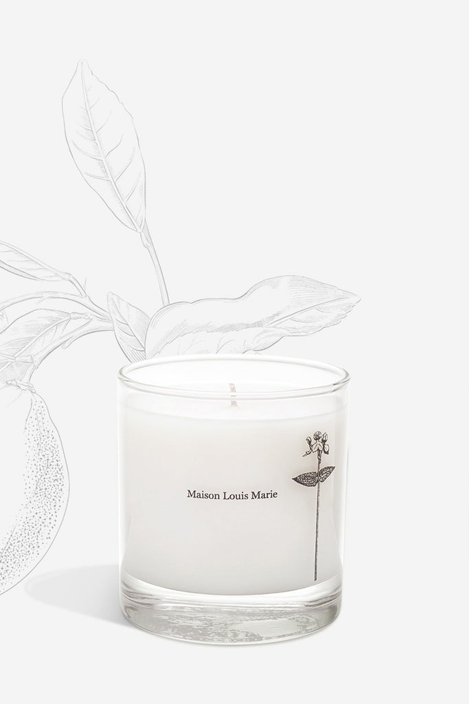 Antidris Candle (Lime) by Maison Louis Marie