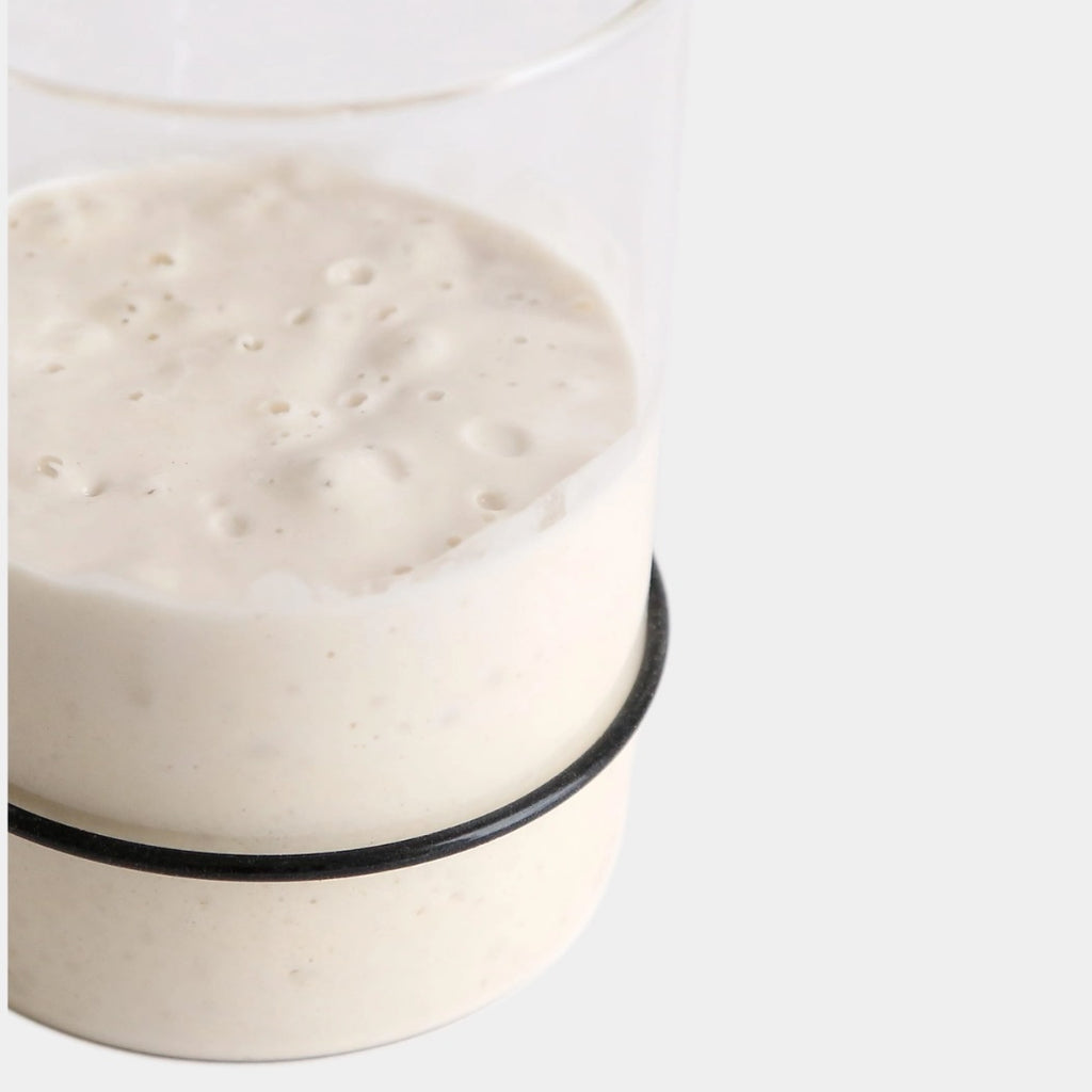 Sourdough Starter Kit by The Yo Store