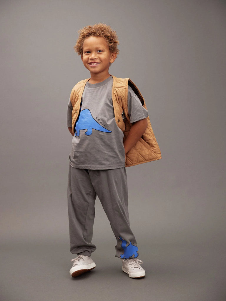 Dino Tee (Grey) by Mini Rodini