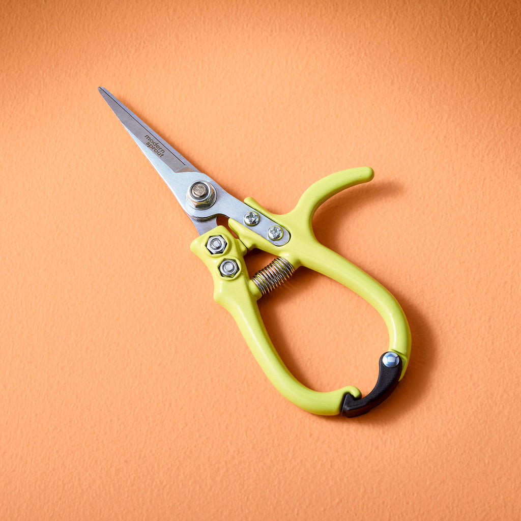 Garden Shears (Various) by Modern Sprout