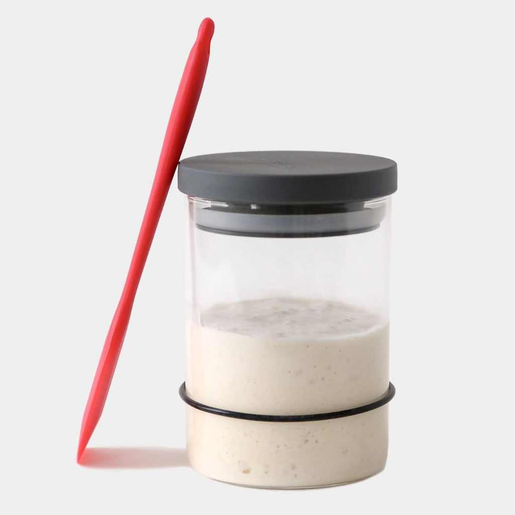 Sourdough Starter Kit by The Yo Store