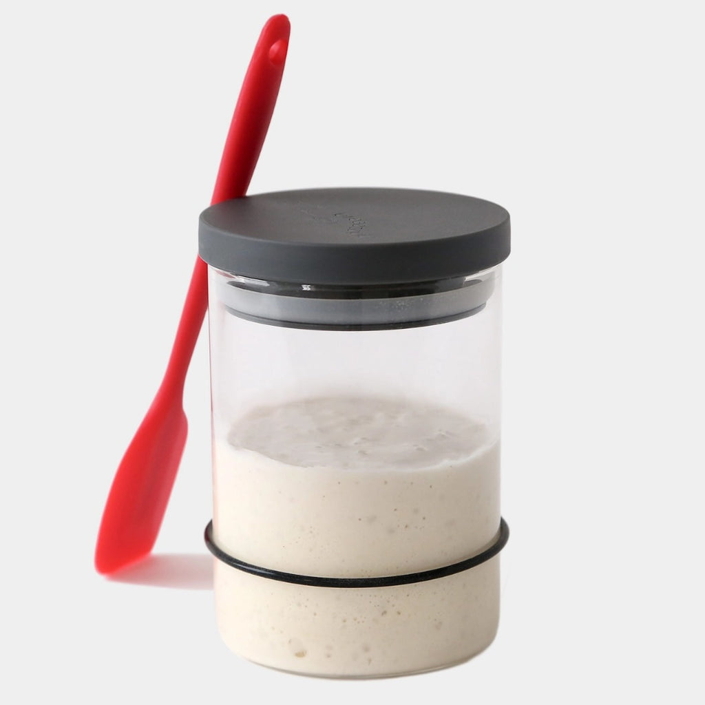 Sourdough Starter Kit by The Yo Store