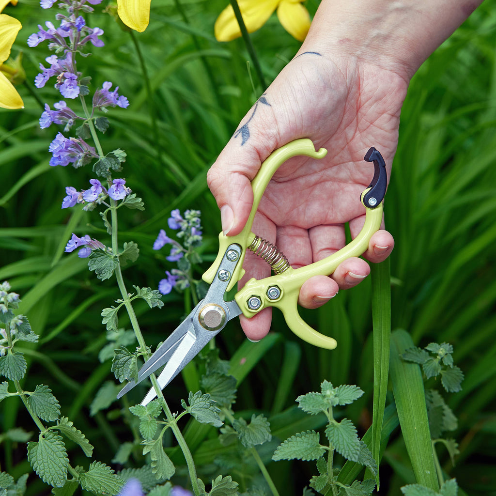 Garden Shears (Various) by Modern Sprout