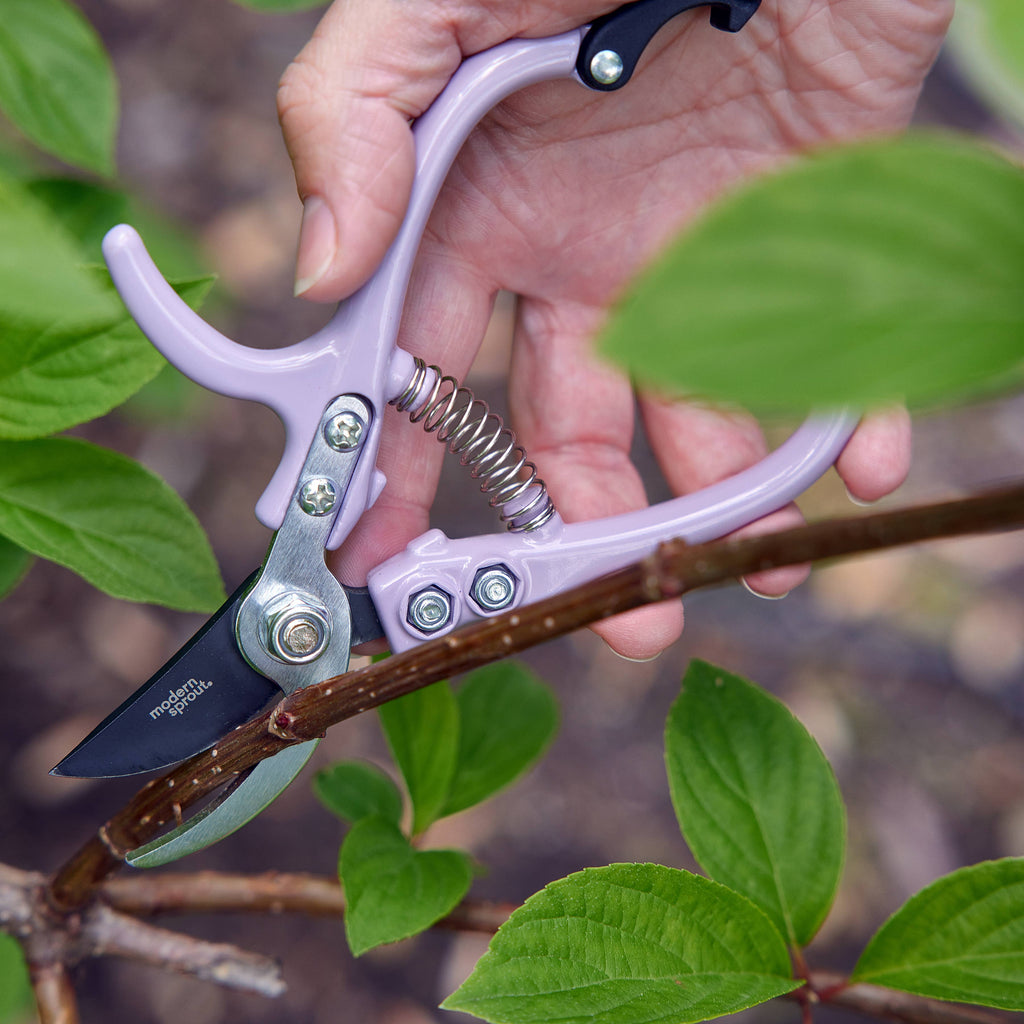 Garden Pruners (Various) by Modern Sprout