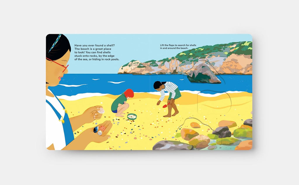 Shells Board Book by Tinies Books