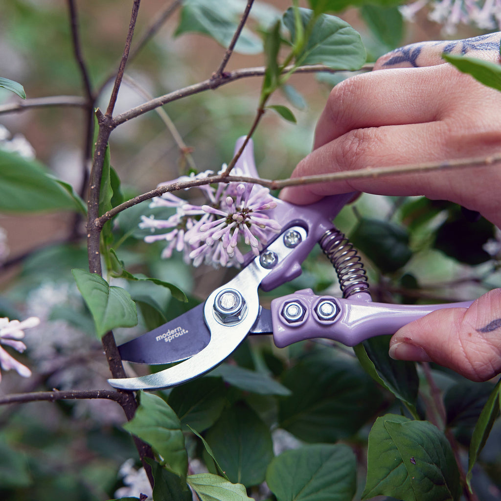 Garden Pruners (Various) by Modern Sprout