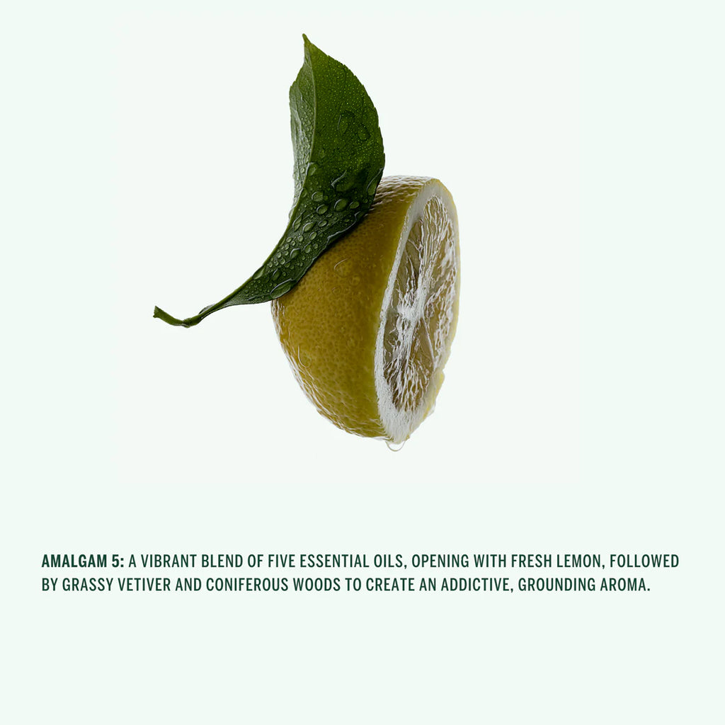 Hand Wash (Amalgam 5) by CORPUS