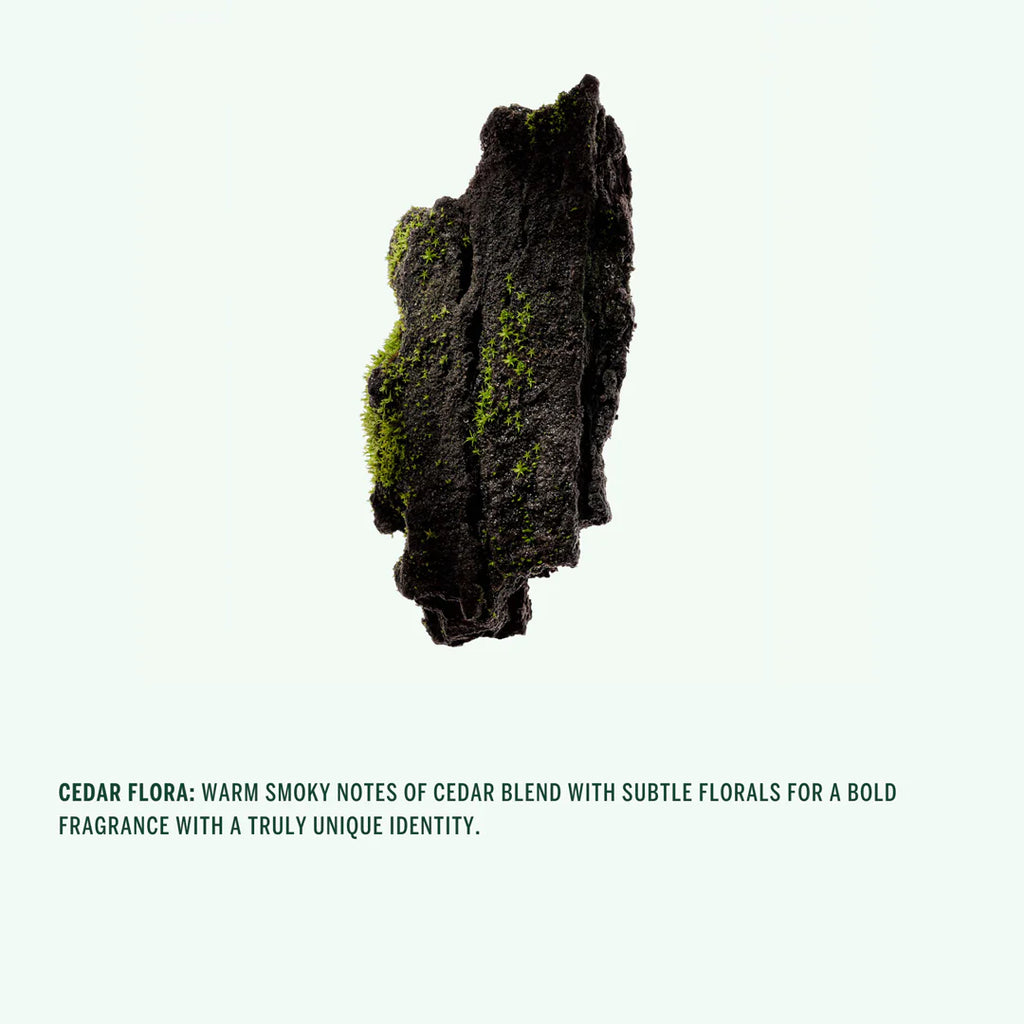 Deodorant Spray (Cedar Flora) by CORPUS