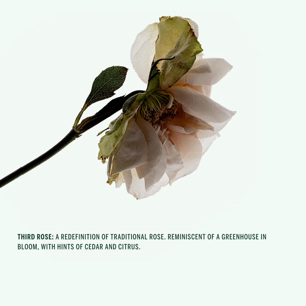 Deodorant Spray (Third Rose) by CORPUS