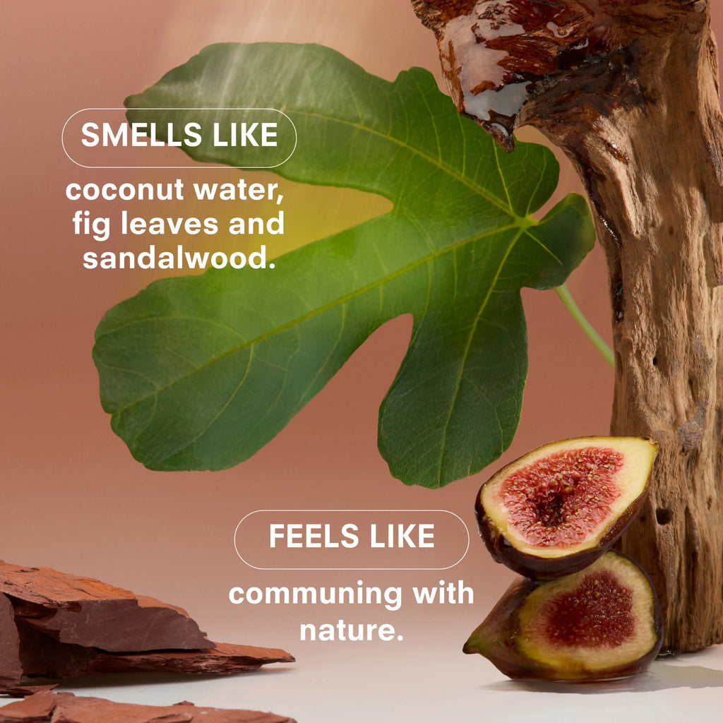 Magnum Woodphoria Candle by Boy Smells