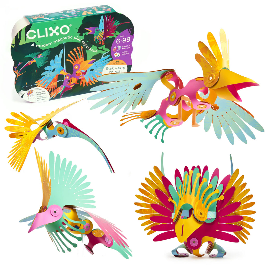 Tropical Birds 22-Piece Pack by Clixo