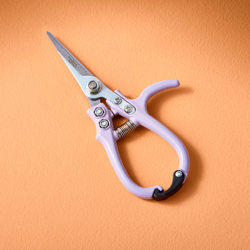 Garden Shears (Various) by Modern Sprout