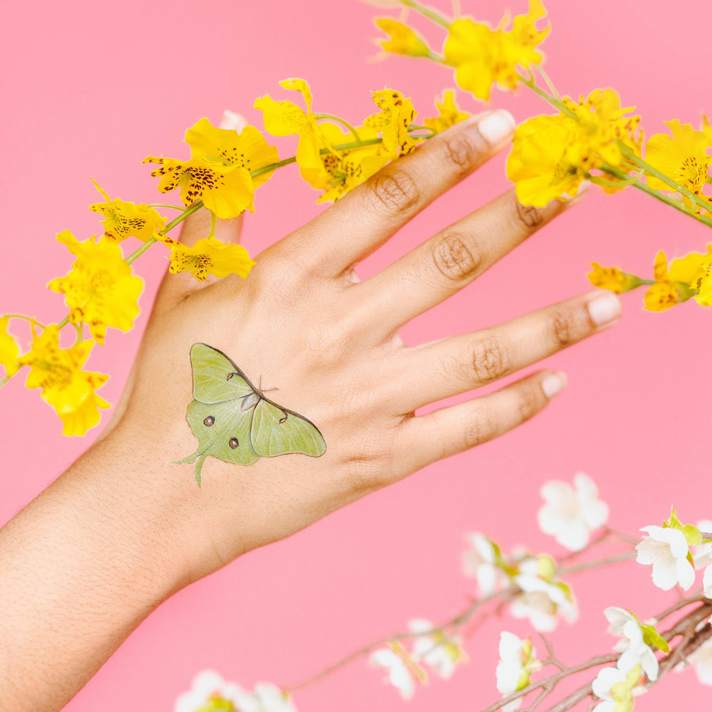 Tiny Butterfly Tattoo Tin by Tattly