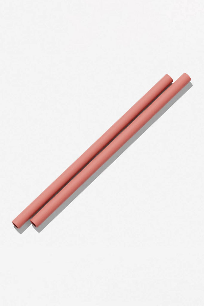 Silicone Straws 2 Pack (Clay)