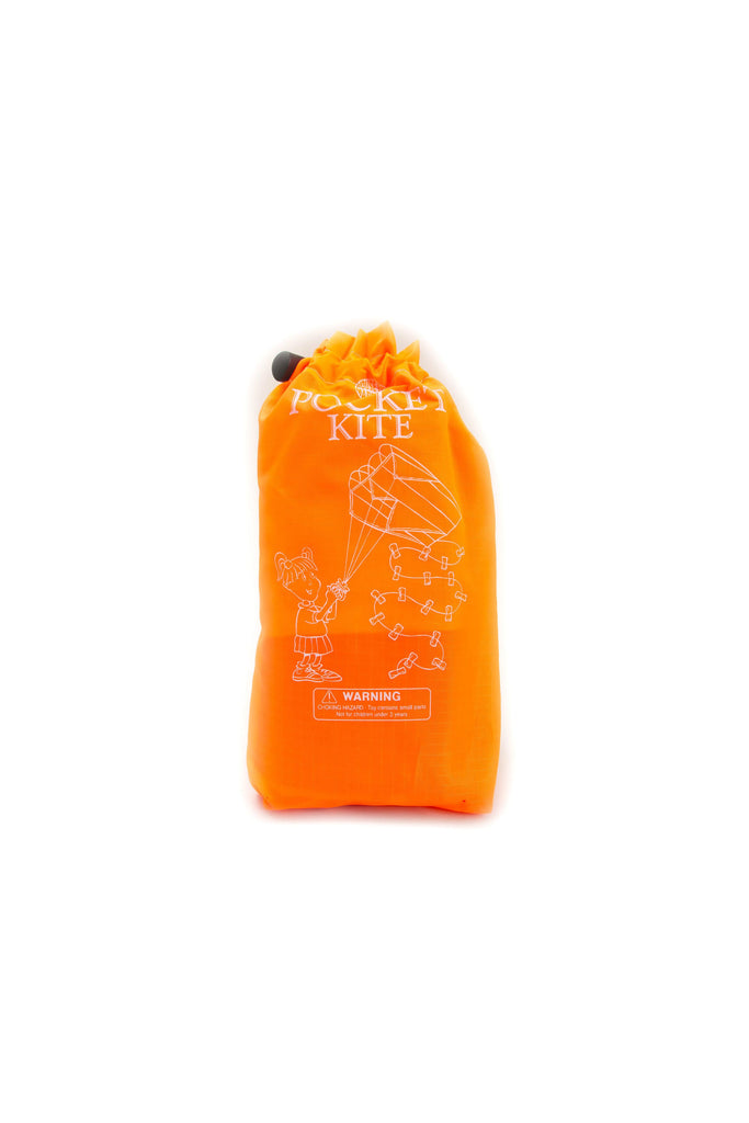 Miniature Kite by House of Marbles