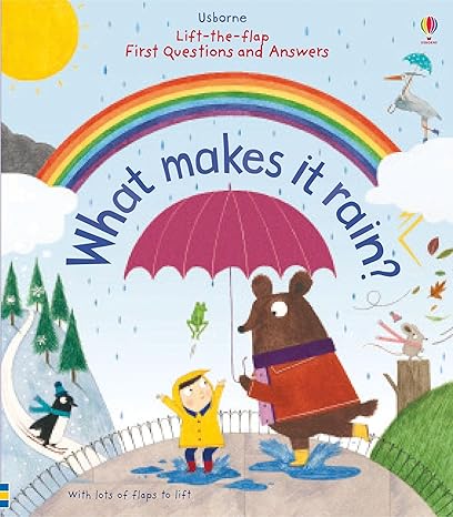 What Makes Rain: Lift The Flap First Q&A by Tinies Books