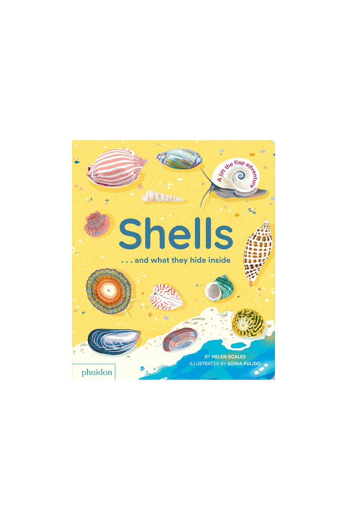 Shells Board Book by Tinies Books