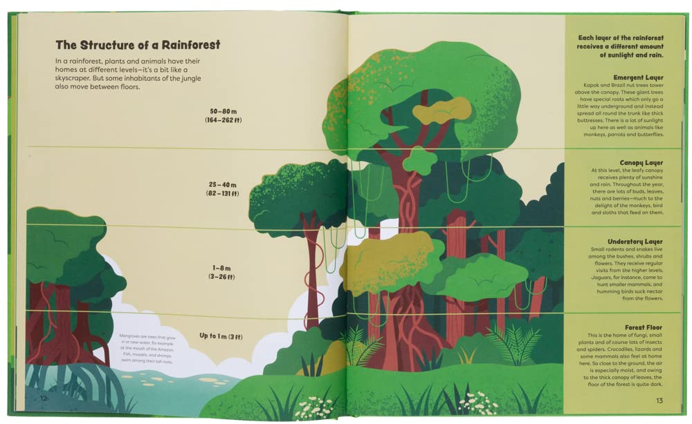 Explore the Rainforest by Tinies Books